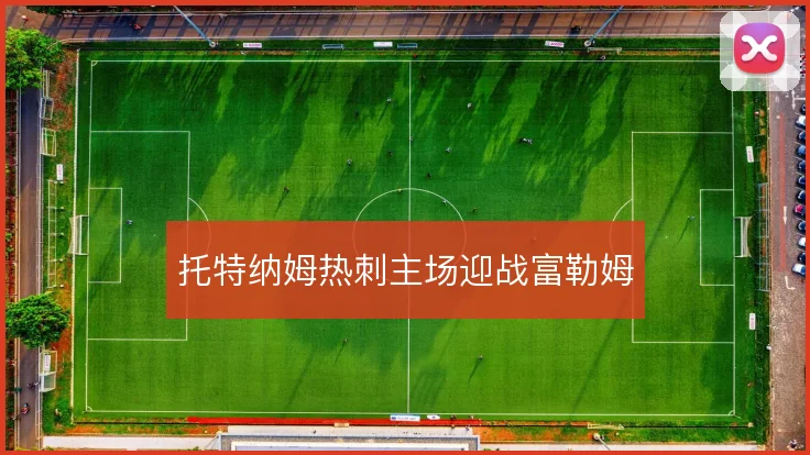 托特纳姆热刺主场迎战富勒姆