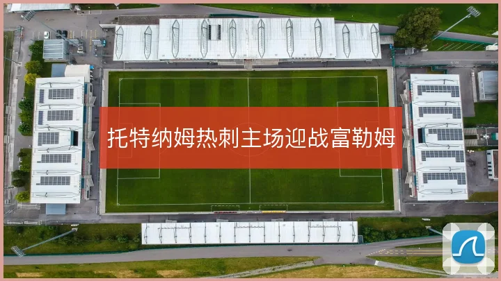 托特纳姆热刺主场迎战富勒姆